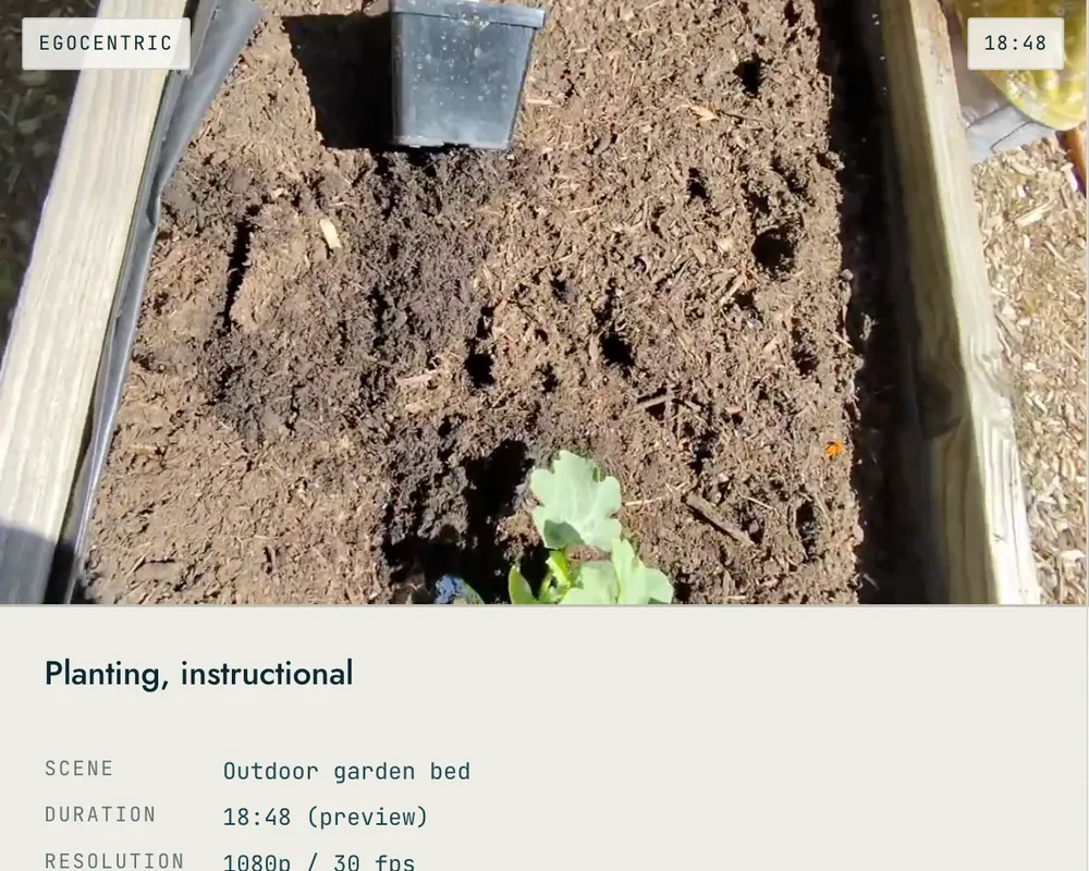 Syntropi dataset clip: first-person video of planting a seedling in a garden bed, labelled egocentric, with scene, duration, resolution and license details